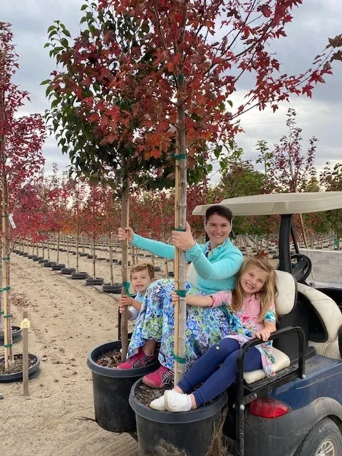 Children smiling on a red golf cart among nursery tree rows