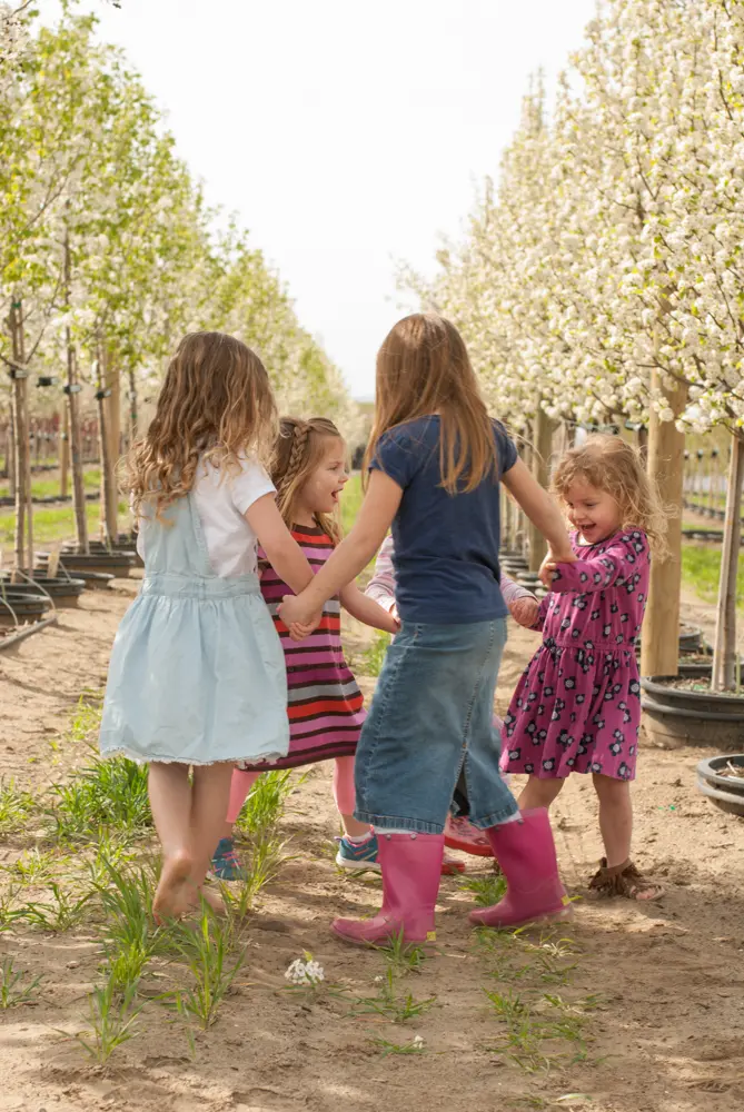 Four girls holding hands and playing among white-blossomed trees